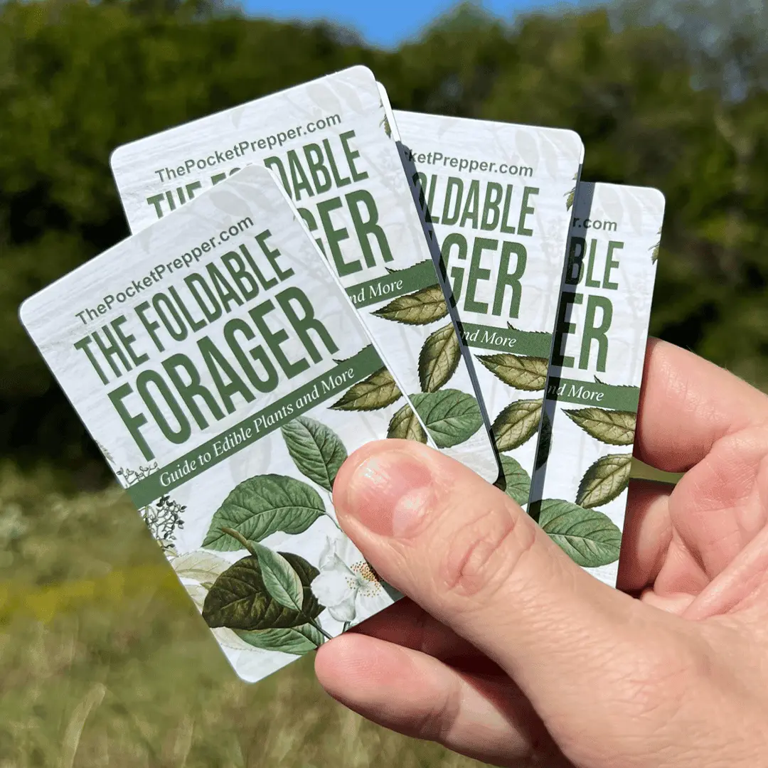 The Foldable Forager pricing